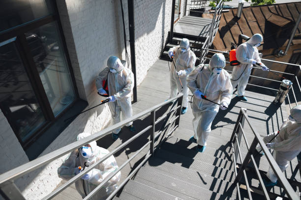 Best Mold Removal for HVAC Installations  in Belleview, FL