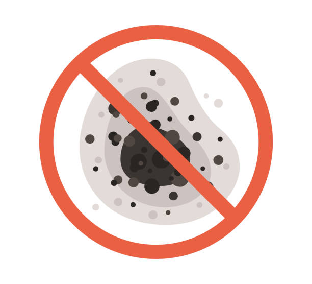 Environmental Consulting for Mold Prevention in Belleview, FL