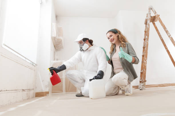 Best Emergency Mold Remediation  in Belleview, FL